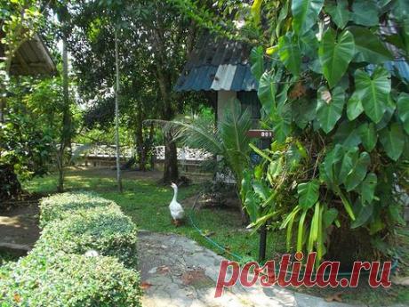 Поездка в Тайланд на остров Чанг (пляжный отдых) - liudm.se2012 — я.ру