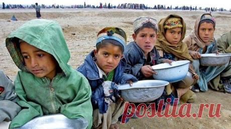 Более половины населения Афганистана находится на грани голода — доклад ООН | Новости в мире сегодня – Читать свежие новости мира, новости в мире сегодня, новости дня в мире в интернет-издании «Вестник»