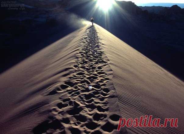 Лучше идти к цели со скоростью черепахи, чем со скоростью света придумывать оправдания, почему ты стоишь на месте.