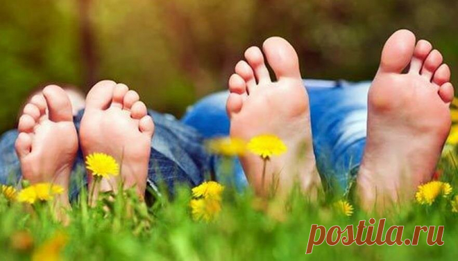 Рассказ о том, как тигры в одуванчиках наши с мужем отношения освежили
Наслушалась на работе от коллег, что если хочешь, чтобы у мужа всплыли чувства, как в молодости, надо освежить отношения. Одна рассказывала, что раз в неделю с мужем в «медсестру» играет, другая устраивает романтические вечера в различных стилях, свечи по дому расставляет и лепестками роз кровать осыпает. Подумала я, что и мне в свои 40 с […]
Читай дальше на сайте. Жми подробнее ➡