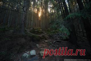 Верь внученька