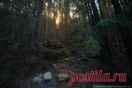 Верь внученька