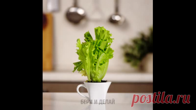 Классные идеи с остатками еды