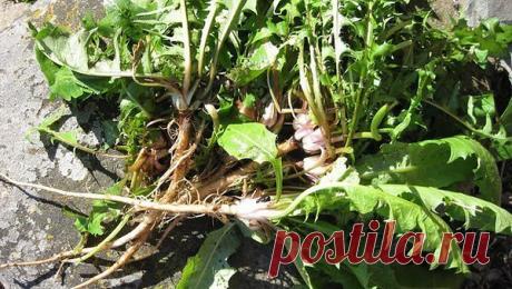 Аля: Разговорчива после бокала вина. Интроверт,не приемлю гламура... Ненавязчива,независима,не влюблена... Мысли есть...слава Богу-не дура...