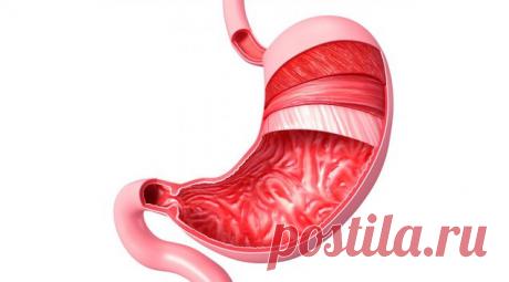 Прополис исцелит желудок и кишечник: простое и результативное лечение — ХОЗЯЮШКА