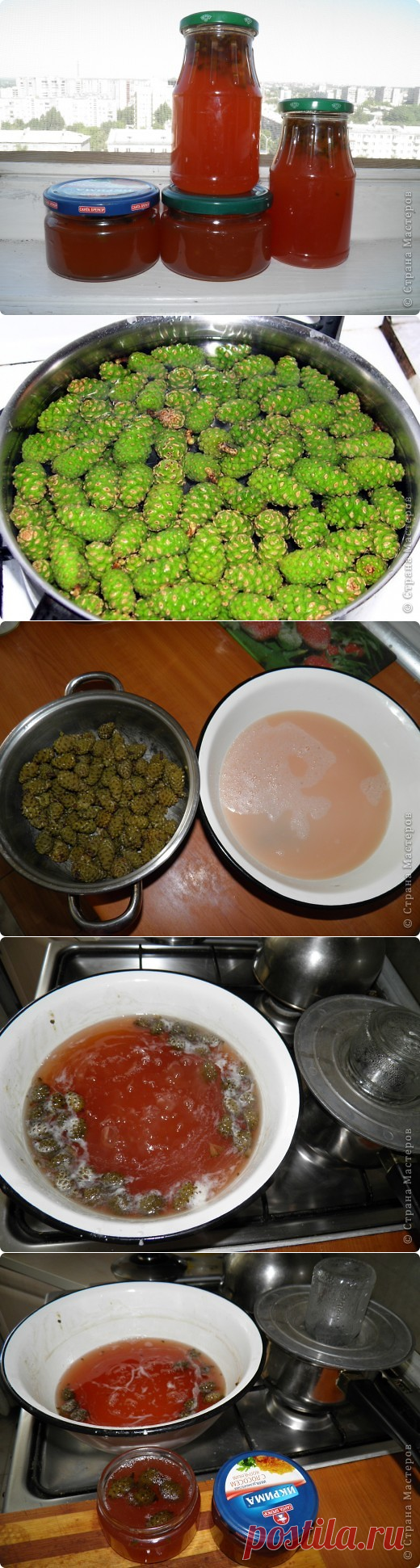 Варенье из шишек (вкусно и ПОЛЕЗНО)!!! | Страна Мастеров