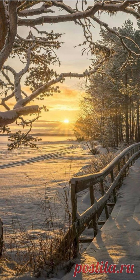 (198) Pinterest