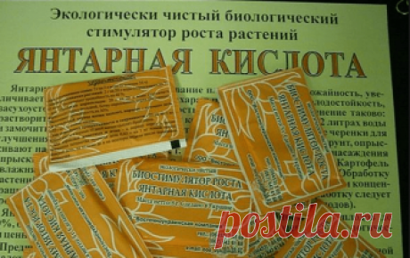 Как применять янтарную кислоту для растений? Цветоводы любят использовать янтарную кислоту за ее необыкновенные свойства. Она способна реанимировать растения. Но что же входит в ее состав? Какими необыкновенными свойствами она обладает? Как использовать ее для...