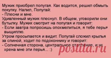 Интересные новости