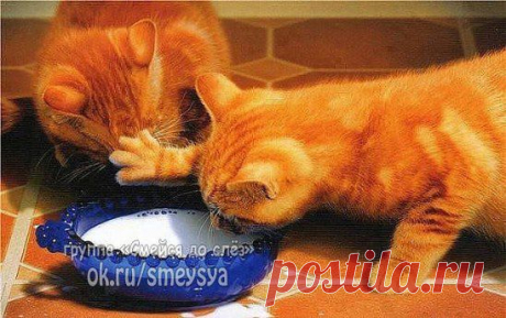Отойди! Два солнца в одной миске не отражаются:)))