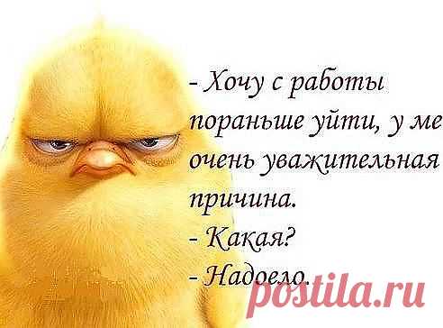 работа