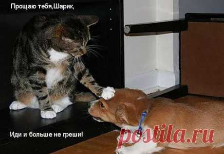 Прохожий — «Прощаю.jpg» на Яндекс.Фотках