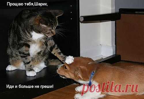 Прохожий — «Прощаю.jpg» на Яндекс.Фотках
