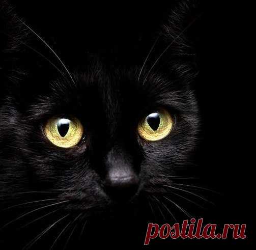 Красивые картинки