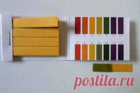 Кислотность почвы. Как определить и что посадить. | Дачница. | Яндекс Дзен