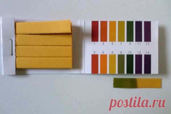 Кислотность почвы. Как определить и что посадить. | Дачница. | Яндекс Дзен