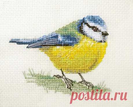 Gallery.ru / Фото #2 - ИЩУ СХЕМУ, Fido Stitch Studio ПРОДАЮТ ТОЛЬКО Великобританцем - iso22000