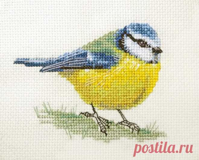 Gallery.ru / Фото #2 - ИЩУ СХЕМУ, Fido Stitch Studio ПРОДАЮТ ТОЛЬКО Великобританцем - iso22000