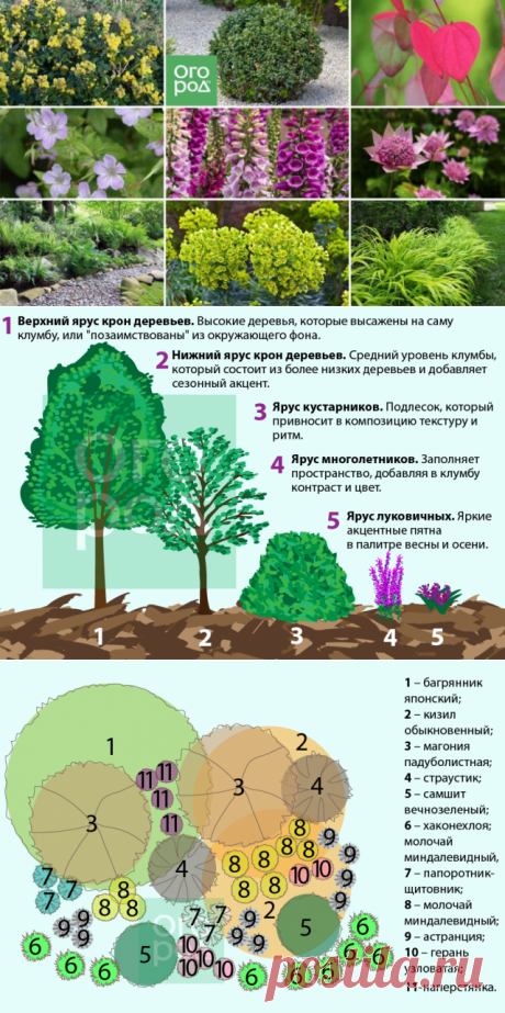 Как обустроить на своем участке многоуровневую клумбу? | Цветники и клумбы (Огород.ru)