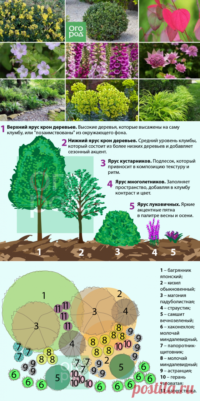 Как обустроить на своем участке многоуровневую клумбу? | Цветники и клумбы (Огород.ru)
