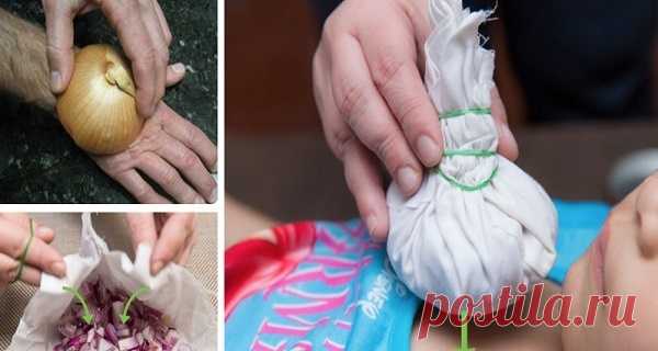 Никто никогда не говорил, что лук способен на такие удивительные вещи! — Полезные советы