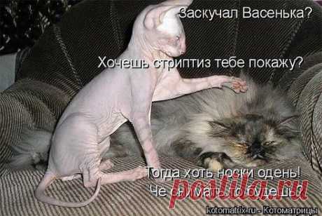 (1) Одноклассники