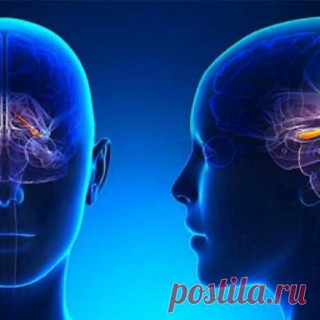 Как сохранить активность мозга На протяжении долгого периода времени считалось, что образование новых нейронов головного мозга прекращается примерно к 25 годам.Однако сегодня науке известно, что это не так. Наш мозг в состоянии создавать новые нейроны на протяжении всей жизни человека. И слава Богу!По сути, этот...
