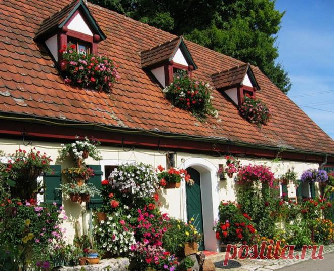 Весеннее настроение: дома в цветах