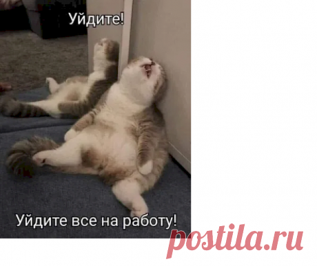 b42464a2.png (896×753)