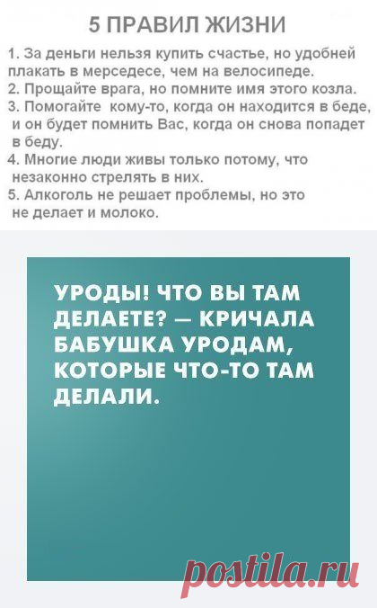 Лучшие цитаты дня / Писец - приколы интернета