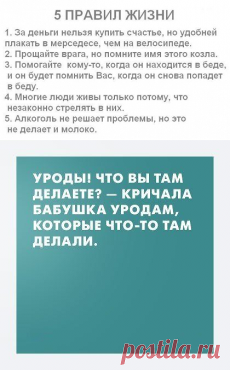 Лучшие цитаты дня / Писец - приколы интернета