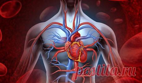 В самое сердце: ученые назвали пять самых вредных продуктов для главной мышцы Специалисты в области сердечно-сосудистых заболеваний составили рейтинг самых вредных продуктов для сердца, сообщает «Комсомольская правда». Кроме того, ученые назвали первые признаки проблем с сердцем, которые обычно остаются без внимания. По данным исследования, причиной всплеска болезней, связанных с сердцем, является не только стресс, но и изменение питания. В районе человека стали преобладат...