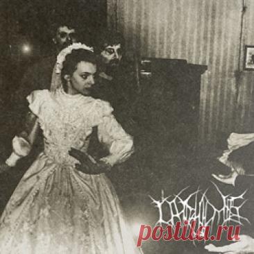 Cry 4 Me - Normalmusicfornormalpeople (2026) 320kbps / FLAC
