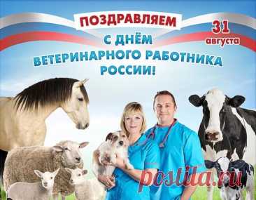 Нет искусней докторов, чем ветеринары,
Им животных исцелять помогают чары.
Эти чары — доброта, знания и опыт!
К братьям меньшим их любовь айсберги растопит.