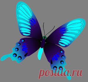 Домашняя страница