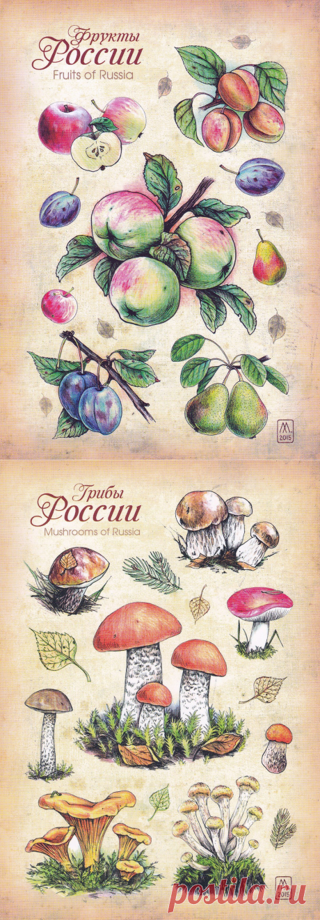 Художница Елизавета Мелкозёрова. Часть 3.