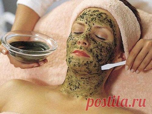 Слоевища ламинарии для лица и похудения