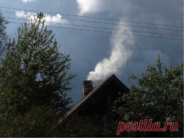 Вот так истопила! | Я и дача | Яндекс Дзен