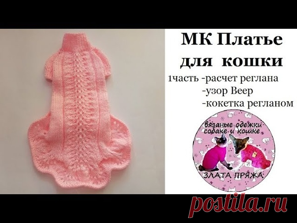 МК Платье кошке