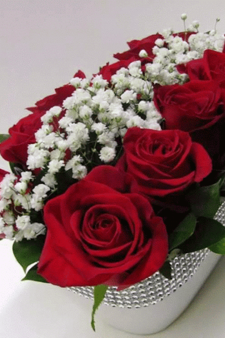 ✿ Roses with love ✿ – Google+