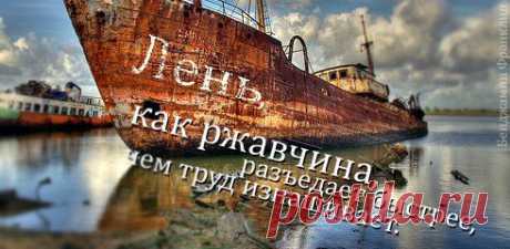Важно не количество знаний, а качество их. Можно знать очень многое, не зная самого нужного. (Л.Н.Толстой).