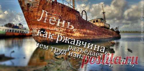 Важно не количество знаний, а качество их. Можно знать очень многое, не зная самого нужного. (Л.Н.Толстой).