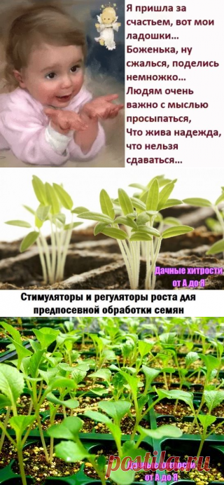 (16) Одноклассники