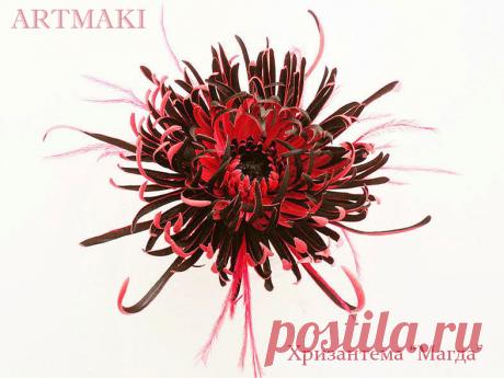 Хризантема &quot;Магда&quot;