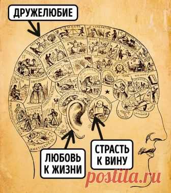 10 научных теорий, которые принесли человечеству очень много зла / Surfingbird знает всё, что ты любишь