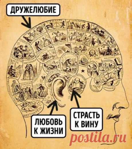 10 научных теорий, которые принесли человечеству очень много зла / Surfingbird знает всё, что ты любишь
