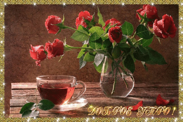 (11) Мой Мир@Mail.Ru