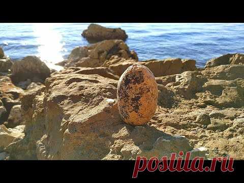 #хорватия #crikvenica яйцо дракона со дна морского 😁 #берег