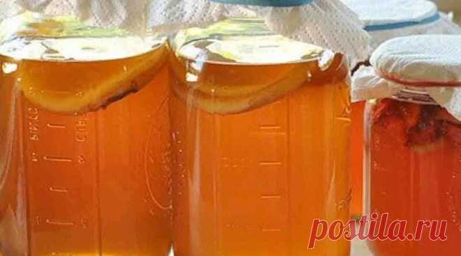 ЧАЙНЫЙ ГРИБ - Dynastyofchefs.ru