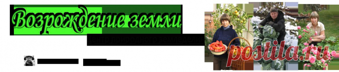 Возрождение земли - View Articles